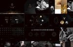 中海荣耀VI