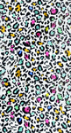 豹纹