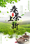 春茶海报