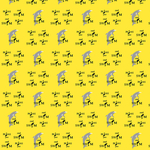 海豚