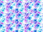 海螺