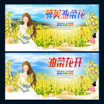 油菜花开