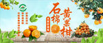 黄果柑