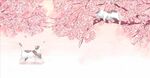 樱花 猫 粉色 背景墙