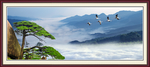 黄山迎客松