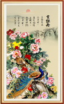 孔雀图