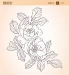 线描花卉手绘矢量图