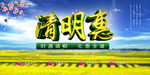 清明活动