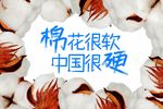 棉花很软中国很硬