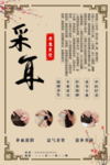 采耳