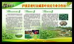 产业园简介 合作社简介