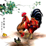 公鸡
