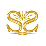 sy标志 汽车Logo图标