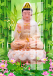 观音菩萨