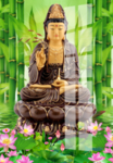 观音菩萨