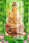 观音菩萨
