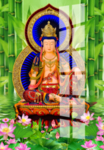 观音菩萨