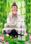 观音菩萨