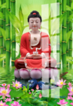 阿弥陀佛 
