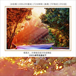 风景装饰画 森林风景画