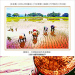 农村田园风光水彩画 装饰画