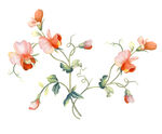 手绘花