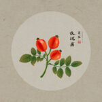手绘玫瑰果