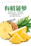菠萝海报