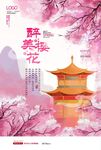 樱花海报 粉色海报 春天