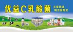 乳酸菌海报