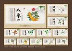 本草养生