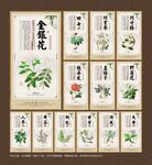 中草药