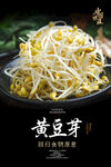黄豆芽海报