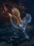 鹤舞九天手绘插画