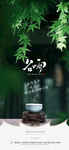 谷雨