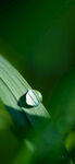 谷雨雨水加LOGO