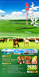 大东北海报