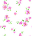 玫瑰花