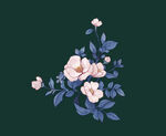 山茶花