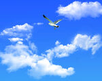 天空