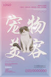 宠物美容