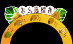 怎么选榴莲