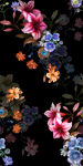 黑底花朵