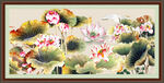 荷花图 