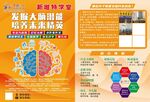 发掘大脑潜能 智力开发