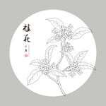 手绘桂花