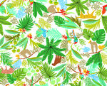 花鸟 树叶 绿色