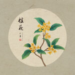 手绘桂花