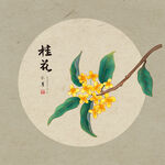 手绘桂花