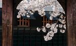 装饰画